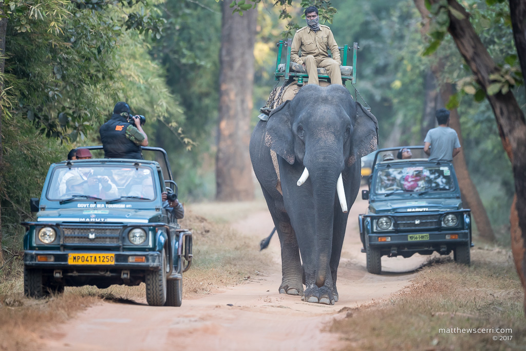 IMAGE: http://www.matthewscerri.com/Private/India/MGX_1862.jpg