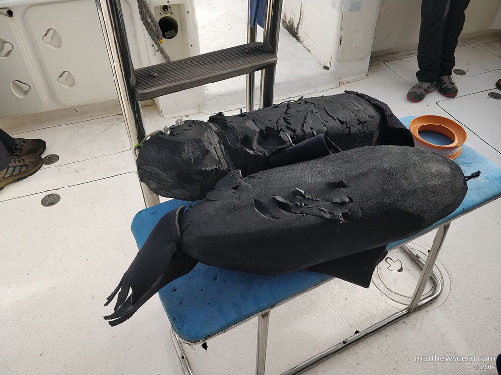 IMAGE: http://www.matthewscerri.com/Private/SouthAfrica19/seal_decoy_1.jpg