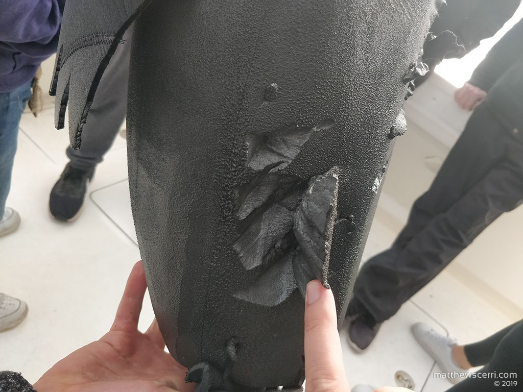 IMAGE: http://www.matthewscerri.com/Private/SouthAfrica19/seal_decoy_2.jpg